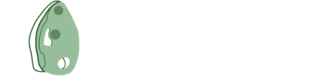 Pungo Insights